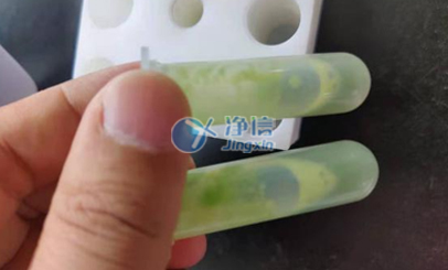 凈信全自動樣品快速研磨儀|浙江大學(xué)定量水稻葉片研磨實(shí)驗